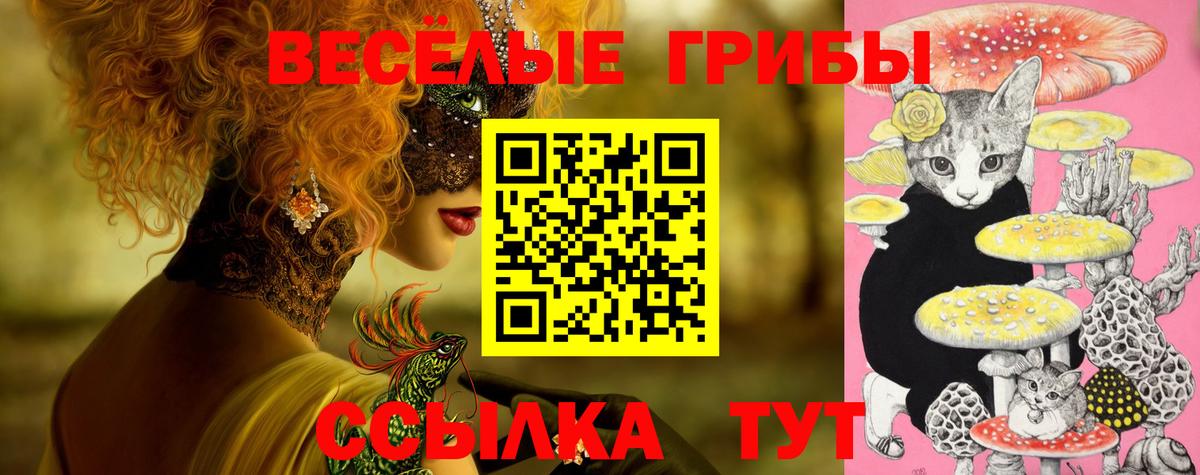 Псилоцибиновые грибы GOLDEN TEACHER  Псилоцибиновые грибы прущие грибы  Вход с VPN  где найти наркотики  Курчалой 